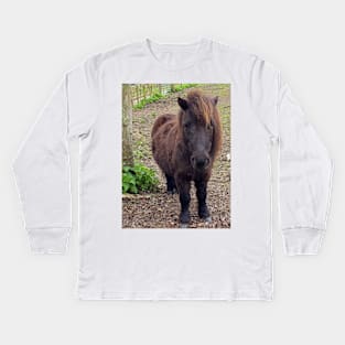 Shetland Pony Kids Long Sleeve T-Shirt